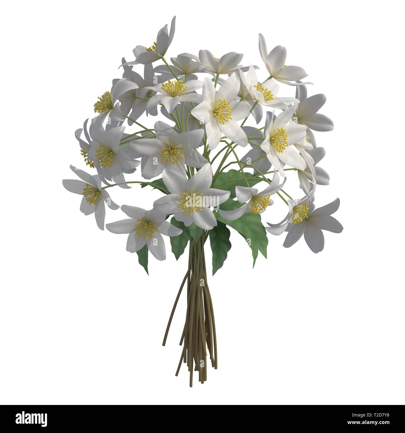 Flowers isolated on the white background 3d illustration Stock Photo ...