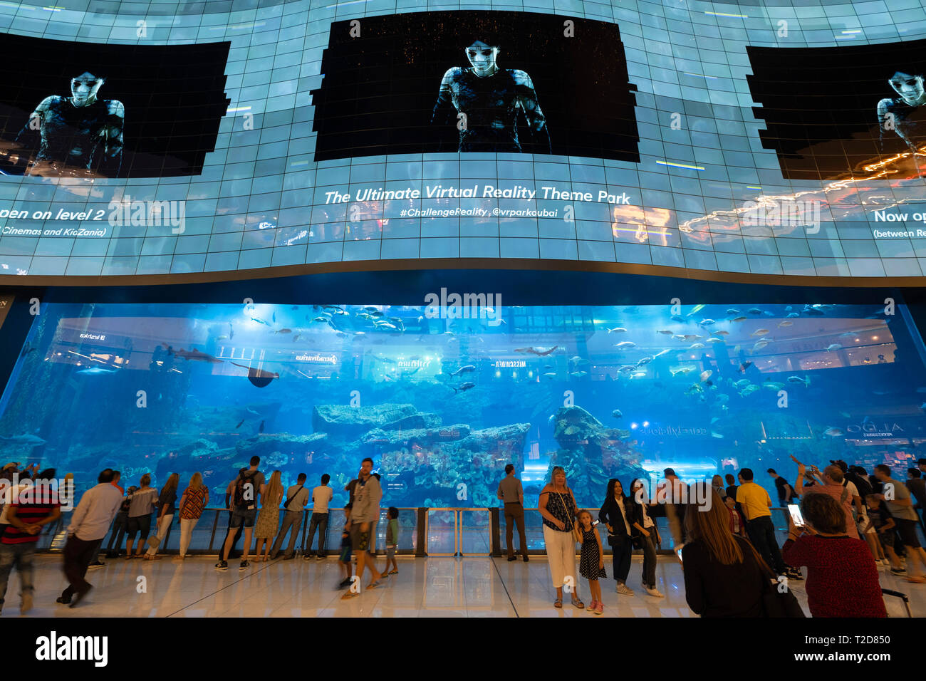 Large aquarium at The Dubai Mall, Dubai, United Arab Emirates Stock Photo