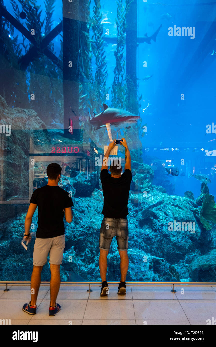Two men photograph a shark inside the large aquarium at The Dubai Mall, Dubai, United Arab Emirates Stock Photo