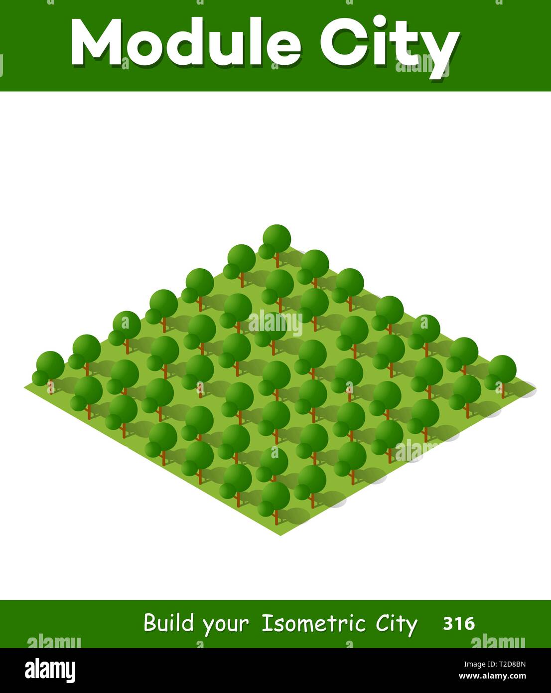 Isometric 3d park with a green tree of summer nature forest landscape ...