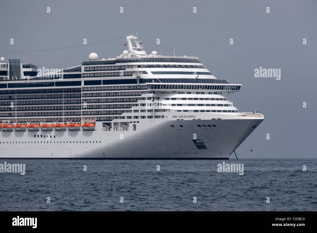 Cruise ship MSC Splendida at sea Stock Photo - Alamy