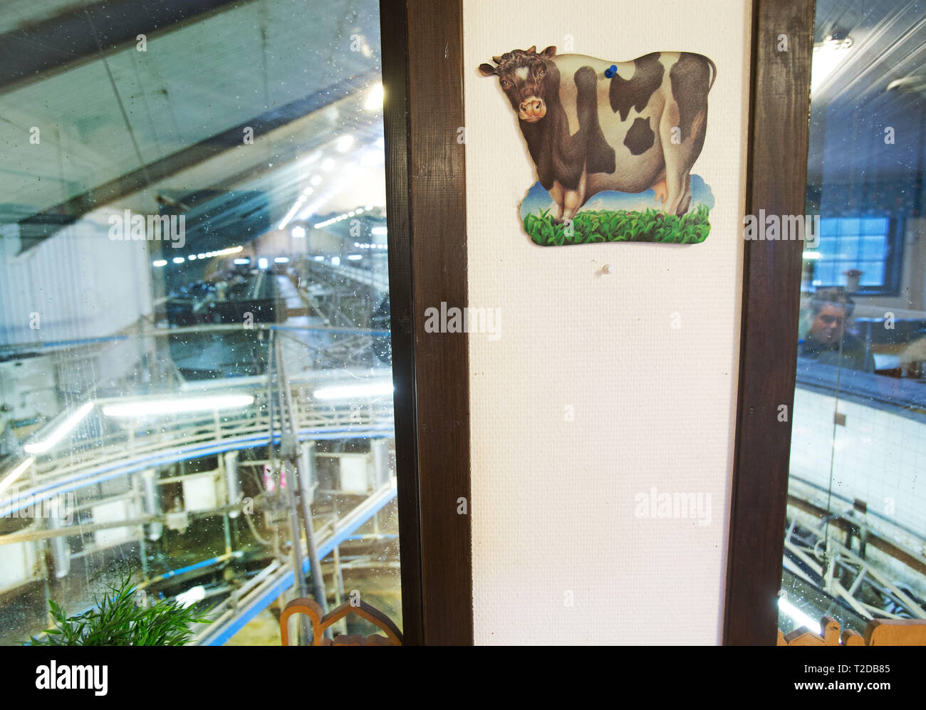 A dairy farm Stock Photo - Alamy