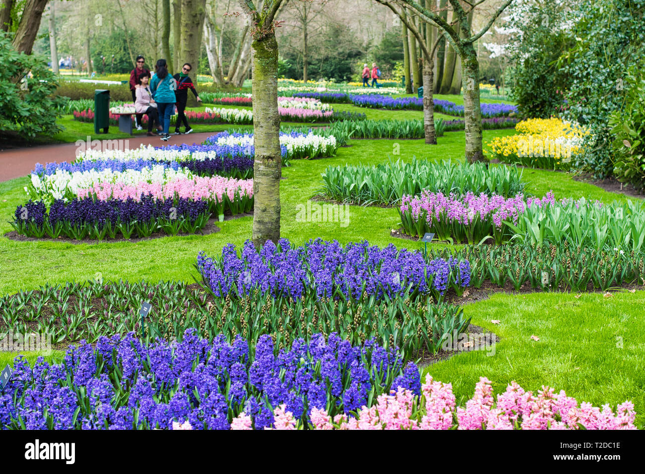 LISSE, NETHERLANDS - APRIL 15, 2018: Flower Festival at Keukenhof Park Stock Photo