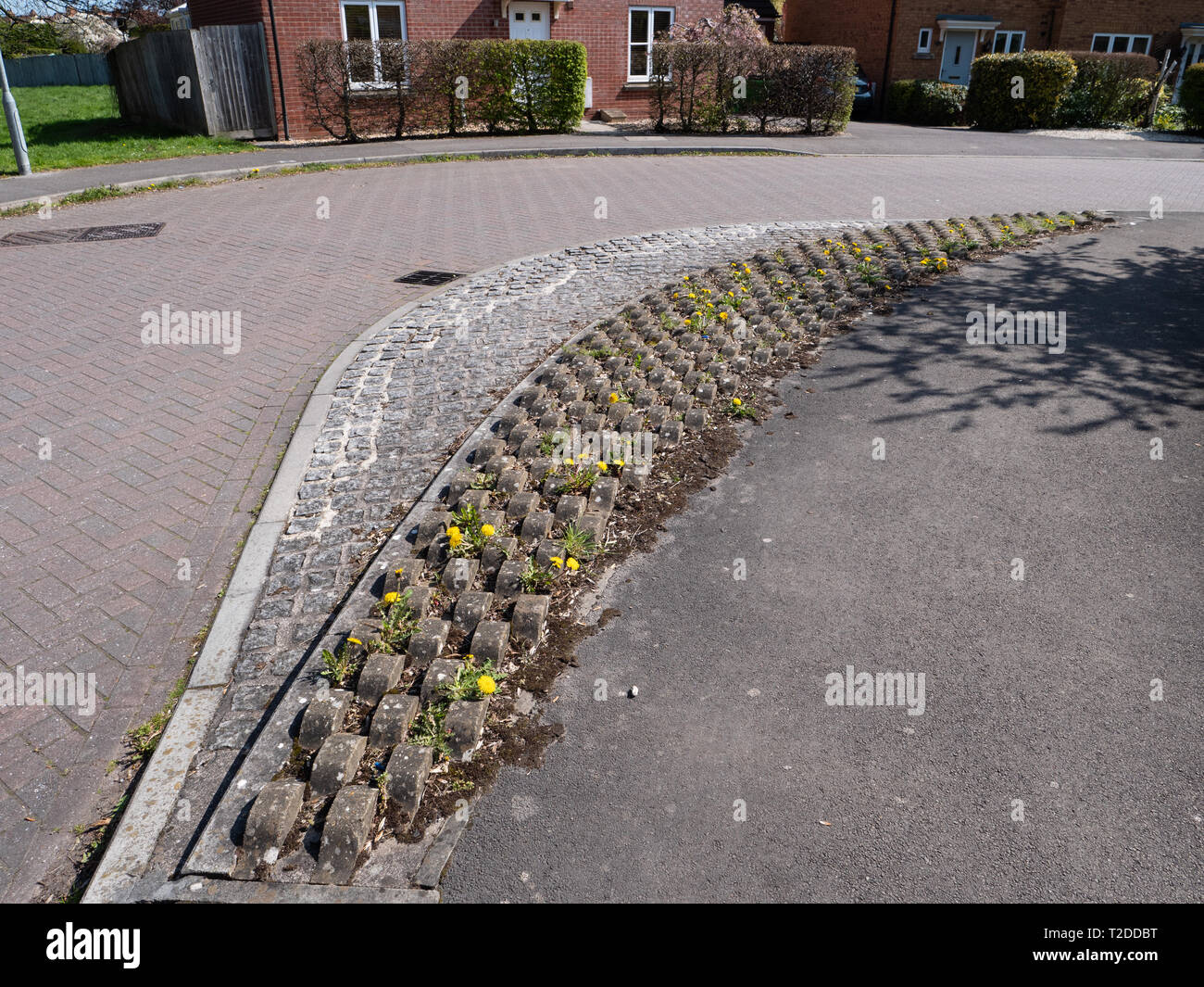 Roadside weeds hi-res stock photography and images - Alamy