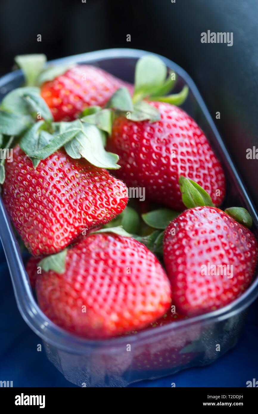 Strawberries in plastic container Stock Photo Alamy
