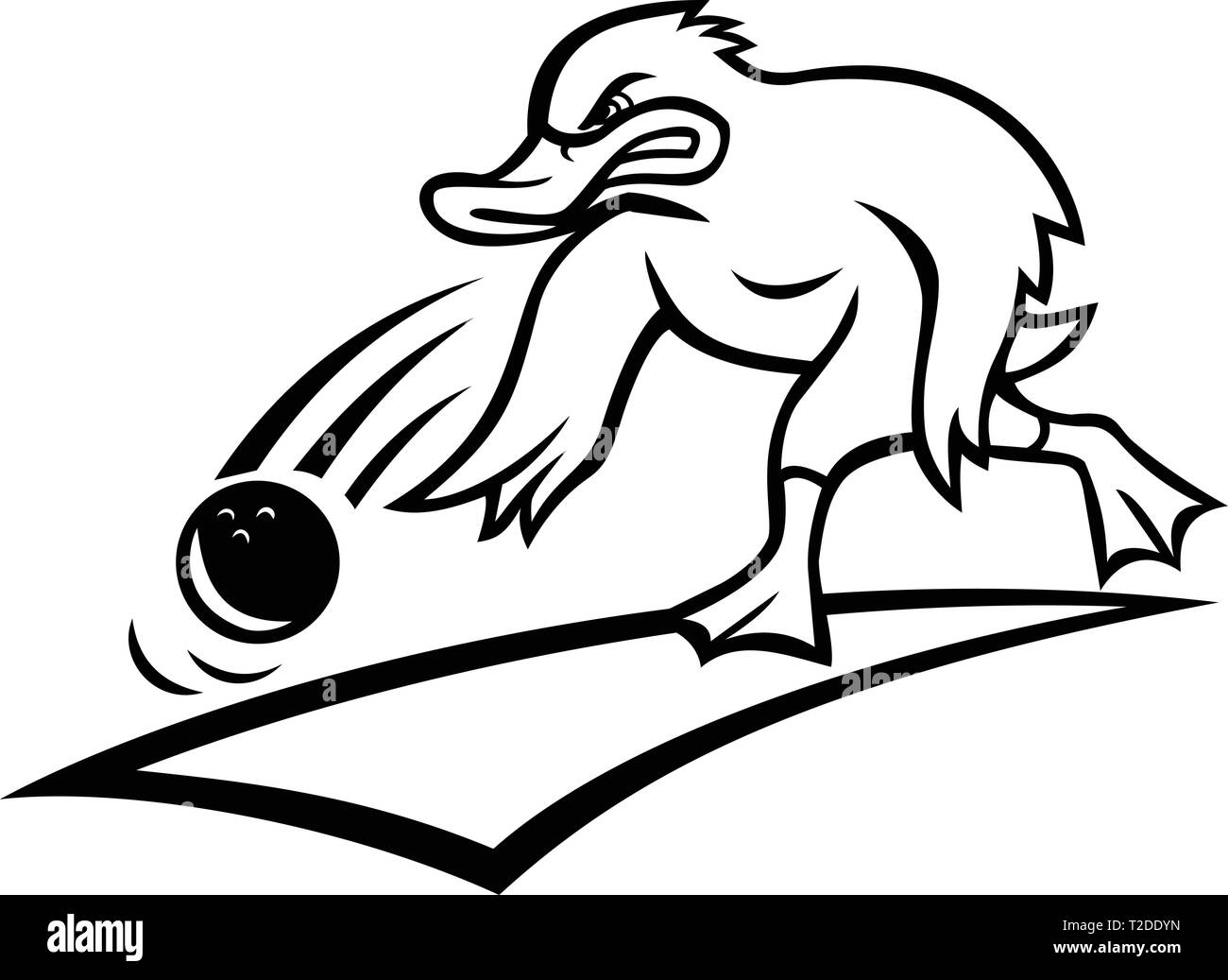 Cartoon mascot style illustration of an angry bowler duck or mallard rolling a bowling ball down a wood or synthetic lane viewed from side on isolated Stock Vector