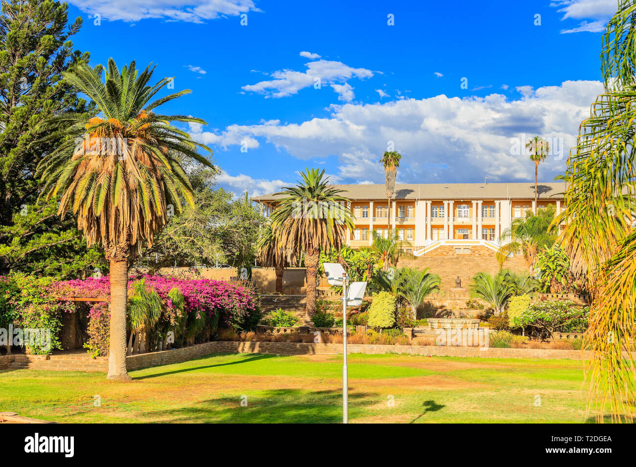 Park and garden with yellow palace building hidden behind tall palms, Windhoek, Namibia Stock Photo