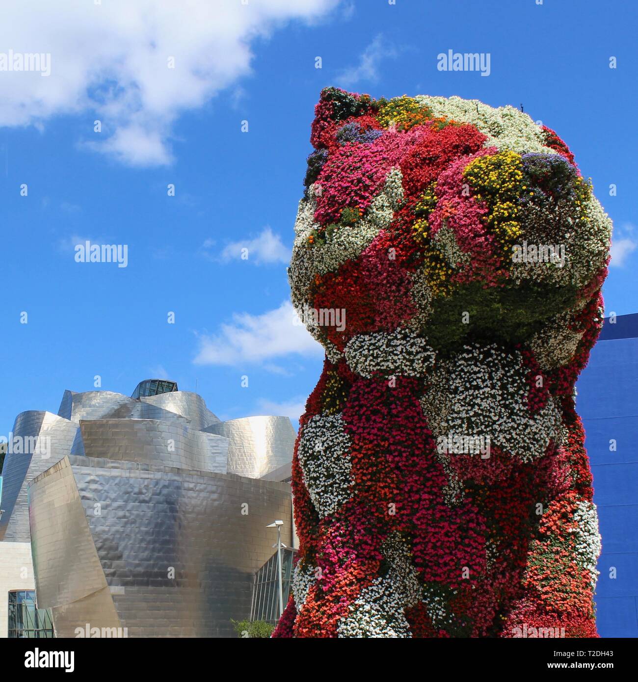 Jeff Koons Puppy sculpture, Guggenheim museum, Bilbao Stock Photo Alamy