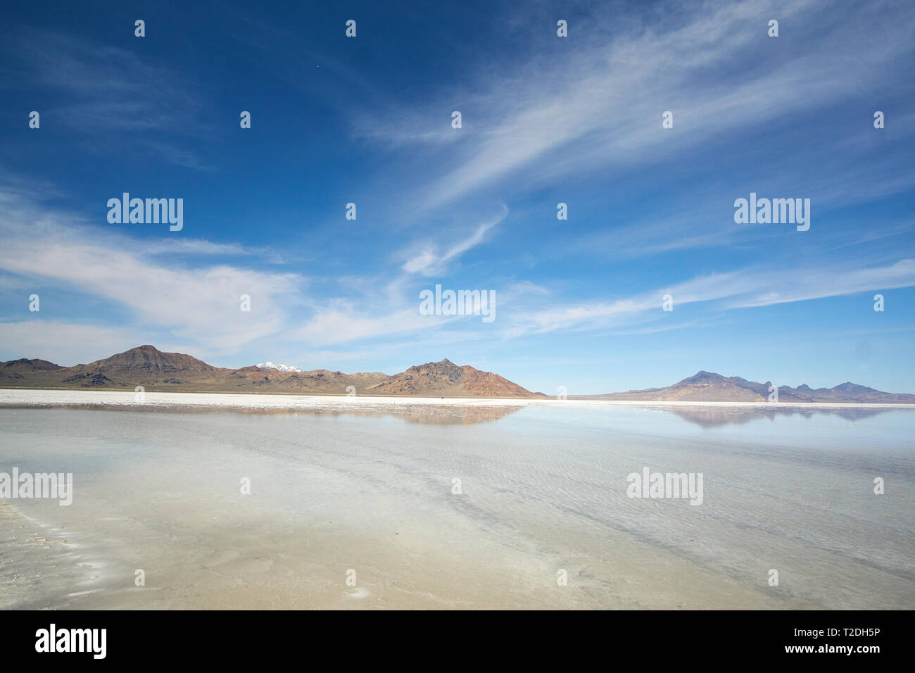 Rocky Mountains in the distance are viewed from Bonneville Salt Flats with a thin layer of water on top, in Tooele County, Utah, USA. Stock Photo