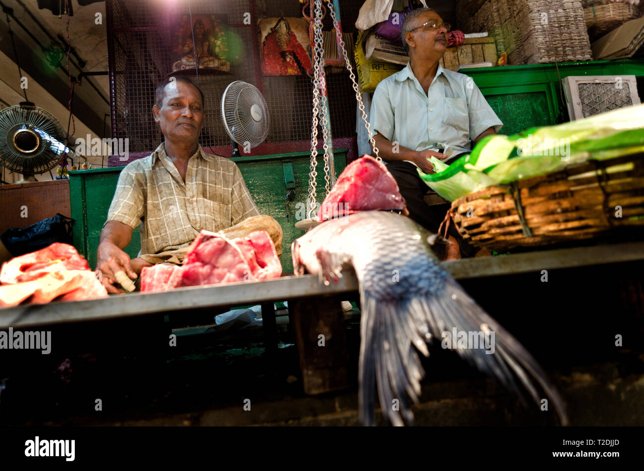 Kolkata Fish Market High Resolution Stock Photography and Images Alamy
