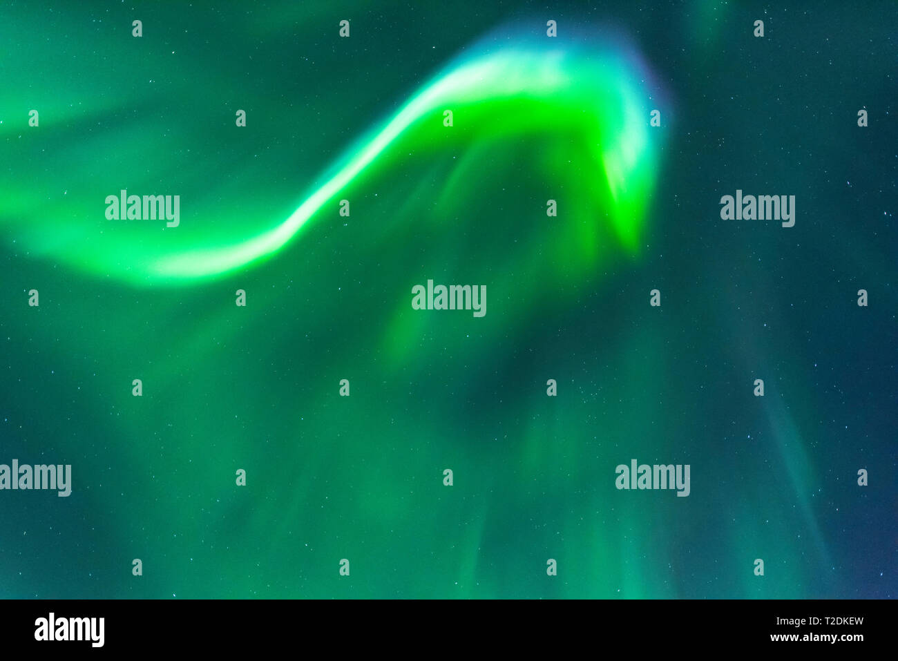 Northern lights dancing above Chena Lakes in Alaska Stock Photo Alamy