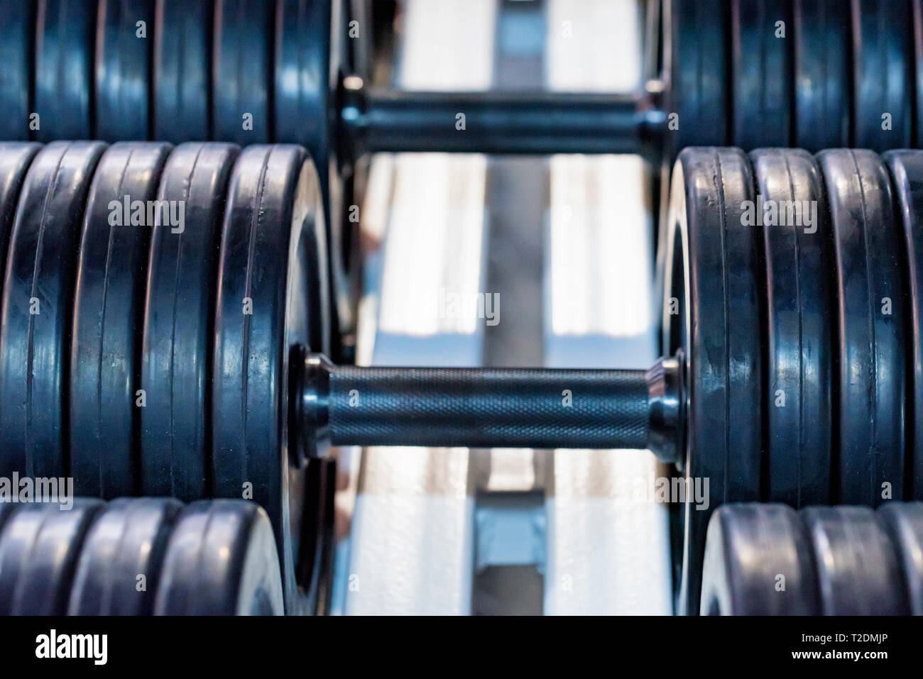 Closeup image of chrome dumbbells in modern gym Stock Photo Alamy