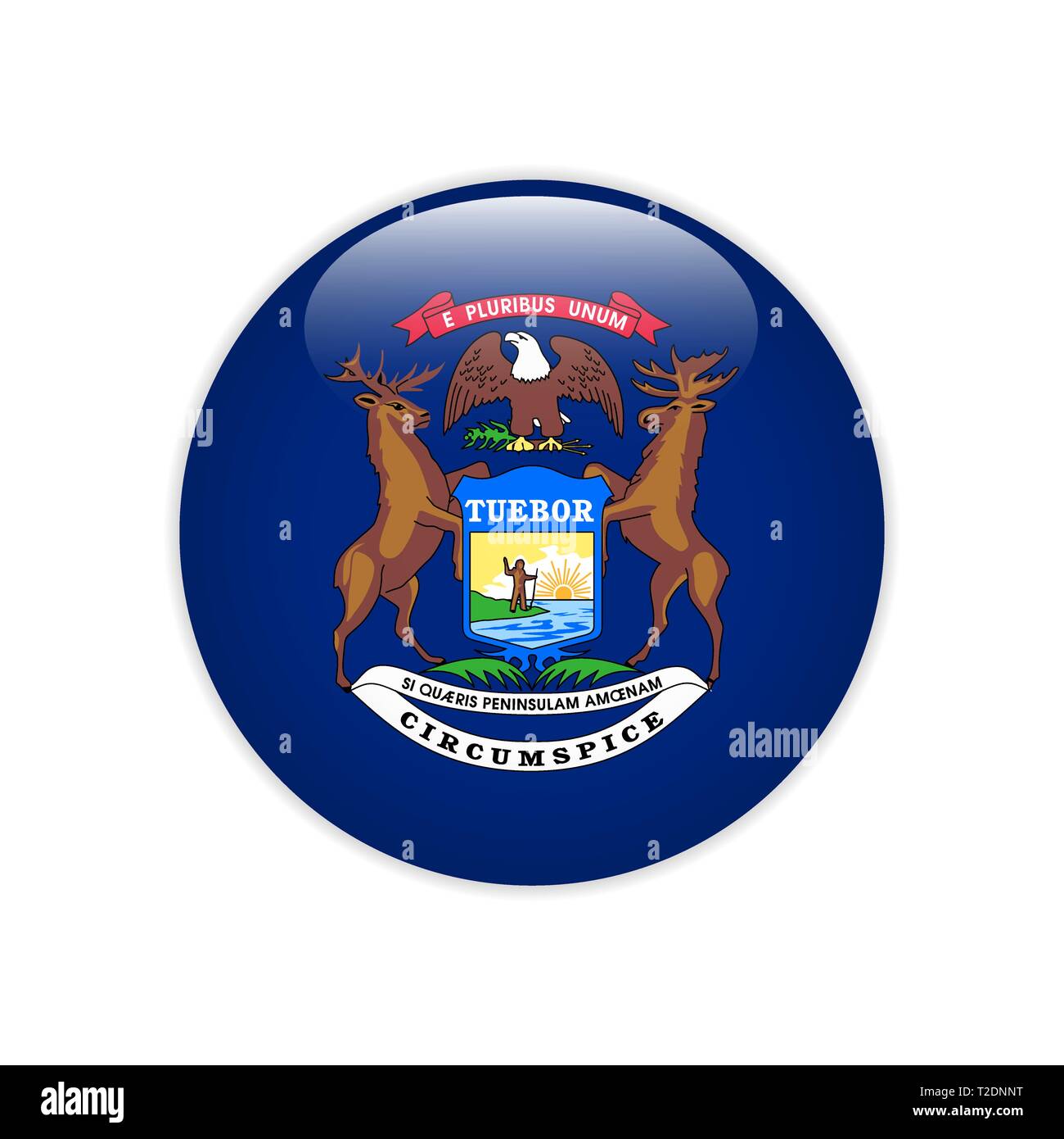 Country flag button web design Stock Vector Image & Art - Alamy