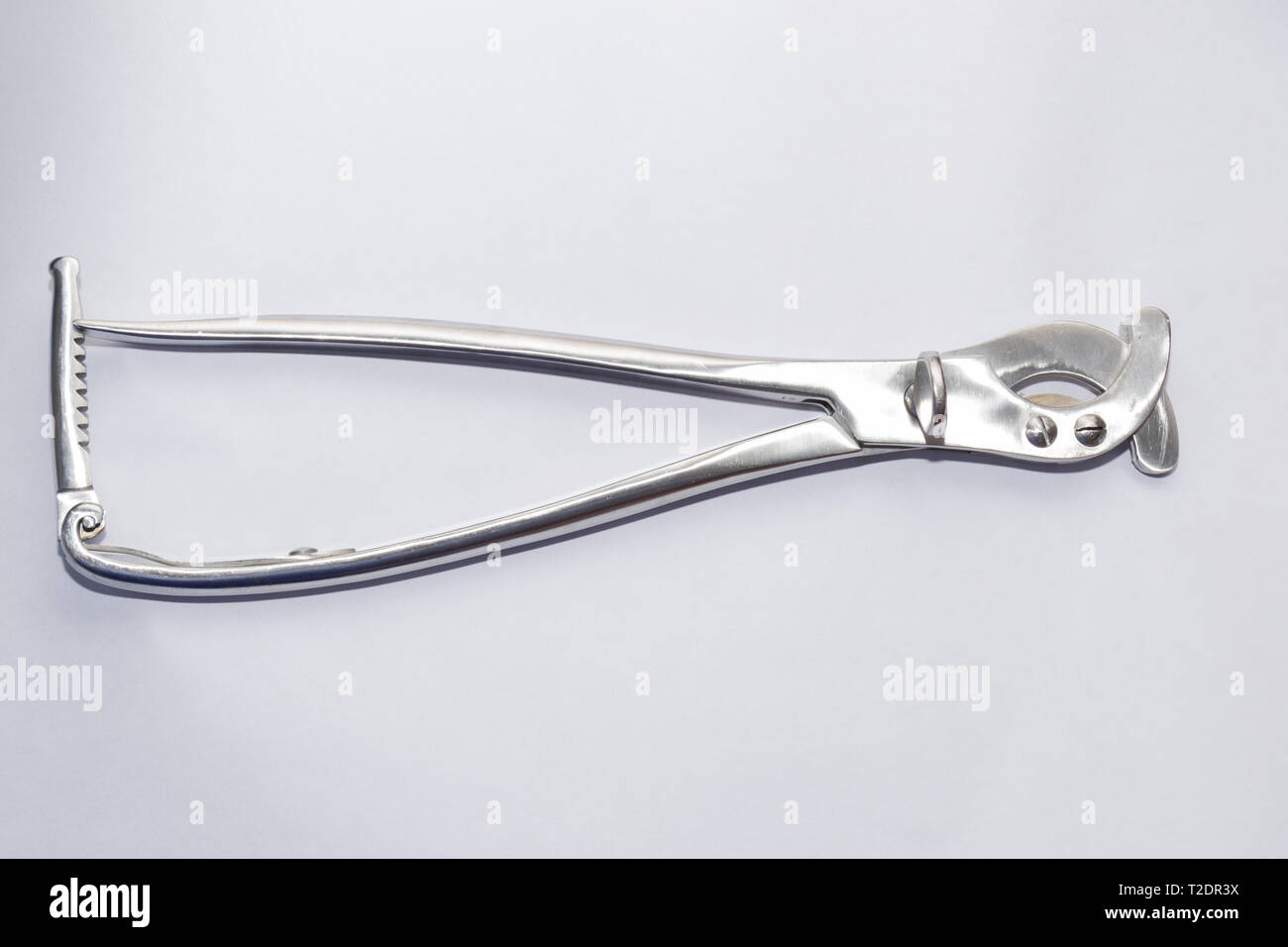 Large forceps hires stock photography and images Alamy