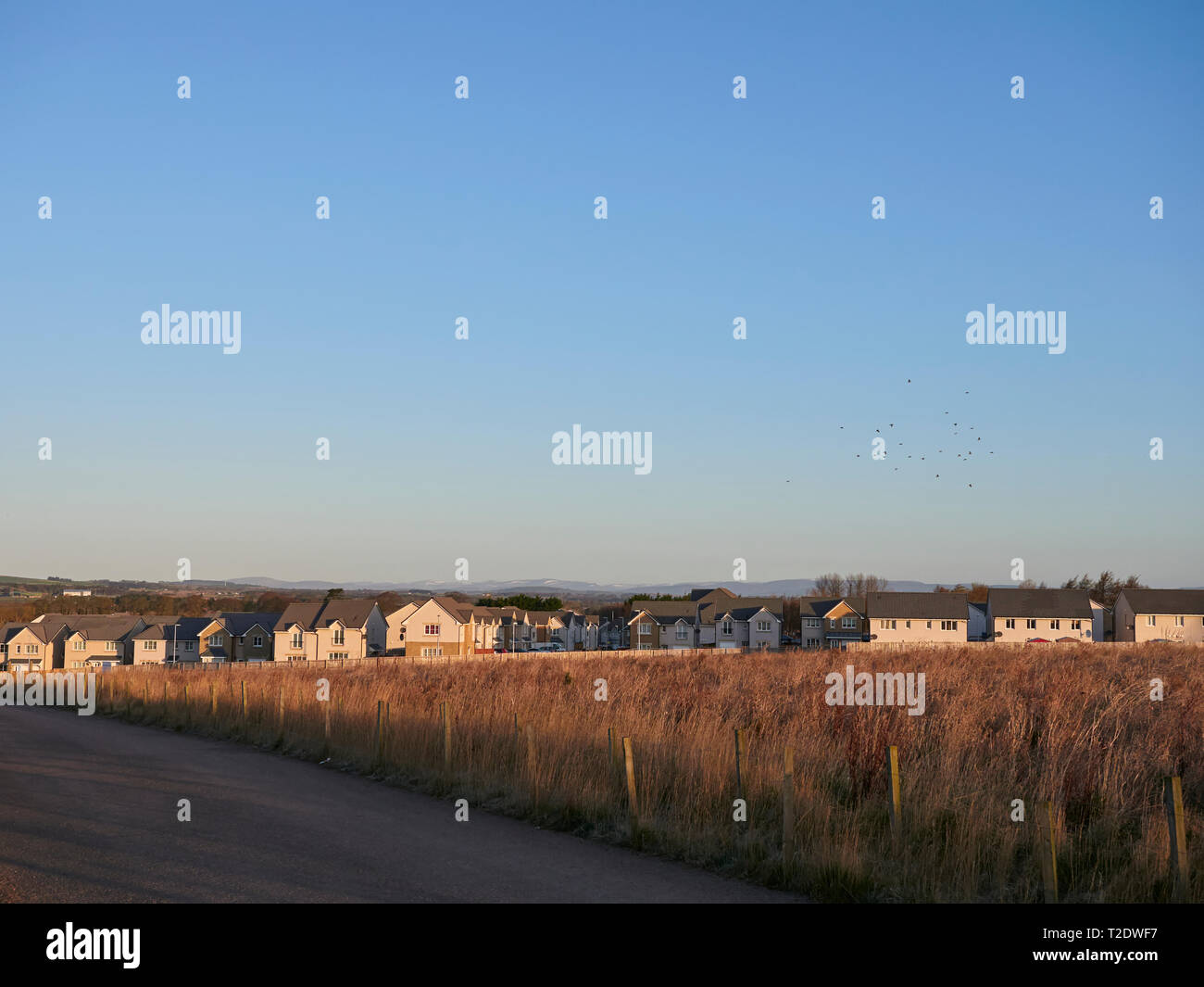 New Homes at the Stewart Milne Estate at Monarch's Rise in Arbroath