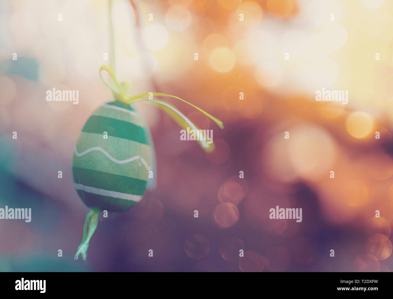 Hanging Easter eggs on tree with soft focus bokeh and color toned. Spring easter concept background. Stock Photo