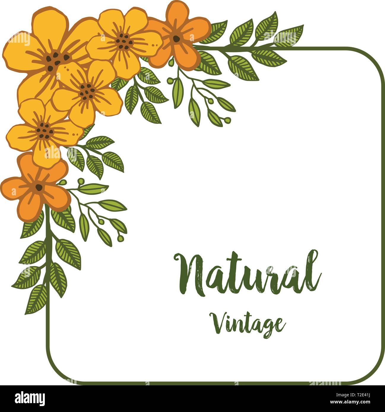 Vector illustration beauty of orange flower frame for natural vintage ...