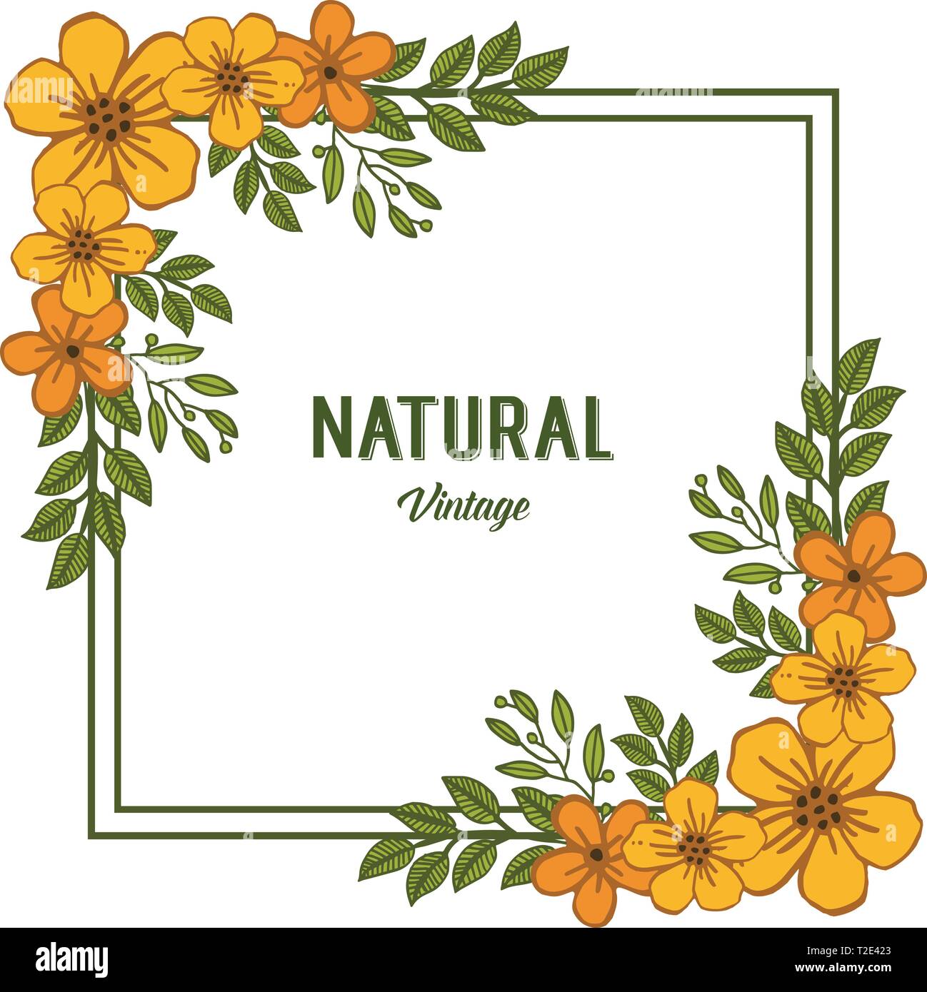 Vector illustration beauty of orange flower frame for natural vintage ...