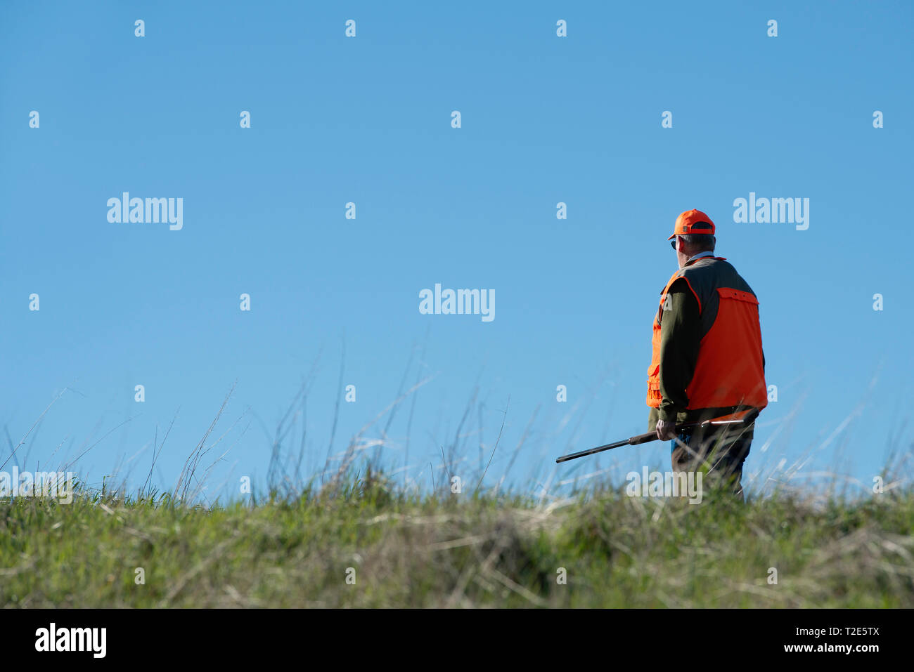 Upland bird hunter on a hill against a blue sky. Stock Photo