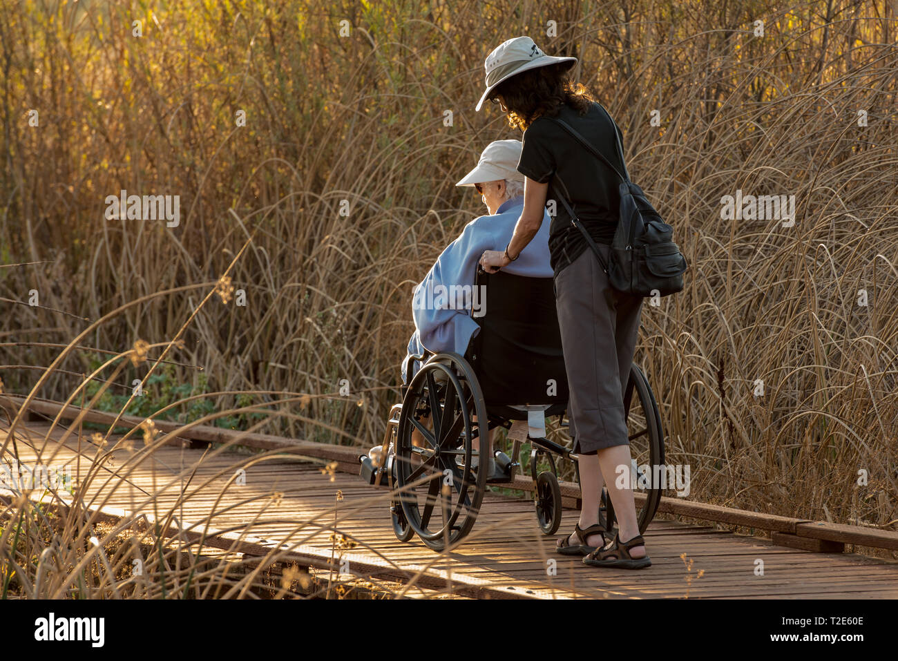 Care giver pushing senior citizen in wheelchair outdoors. Stock Photo