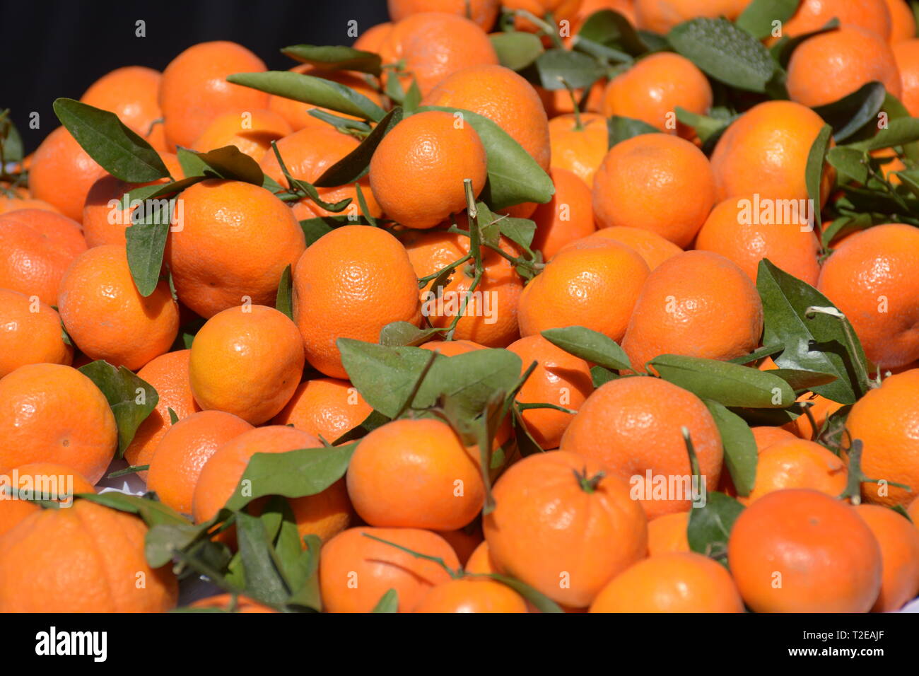 Tangerines for sale at a roadside farmers stand in California central