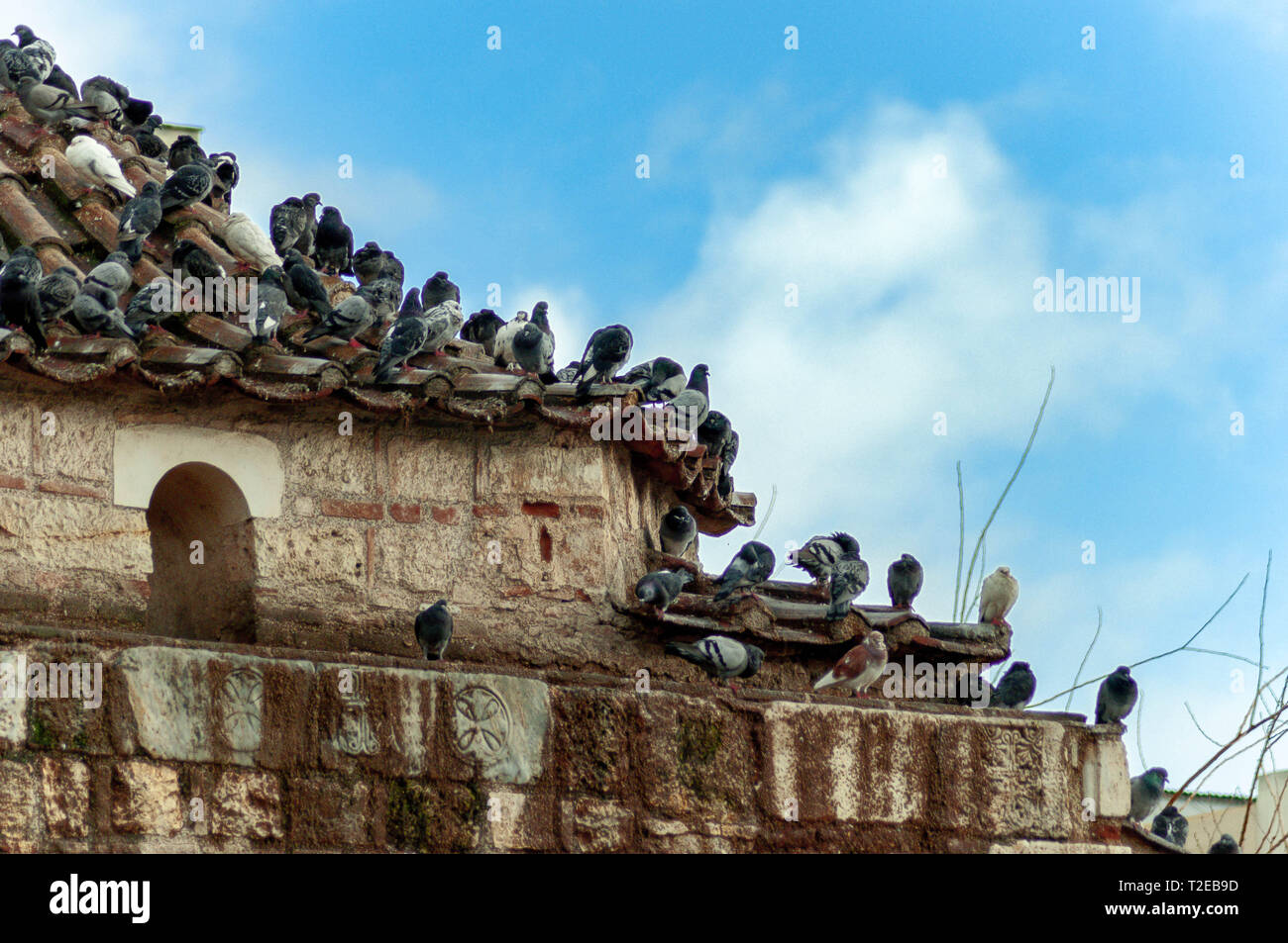 Athens, Greece. Capturing the local pigeons perching atop a historic building in the middle of the city. Stock Photo