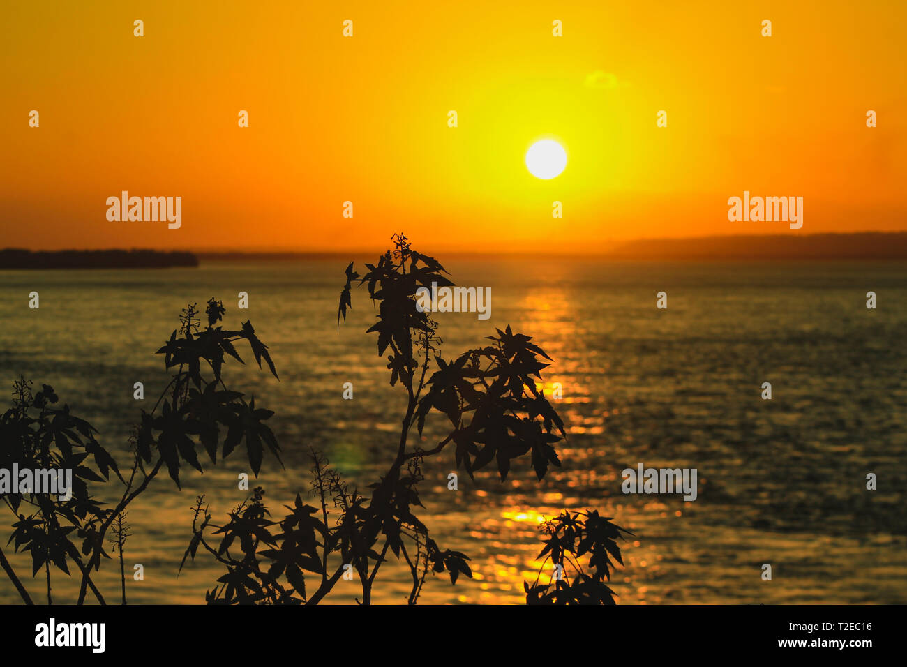 sunset on the beach Stock Photo - Alamy