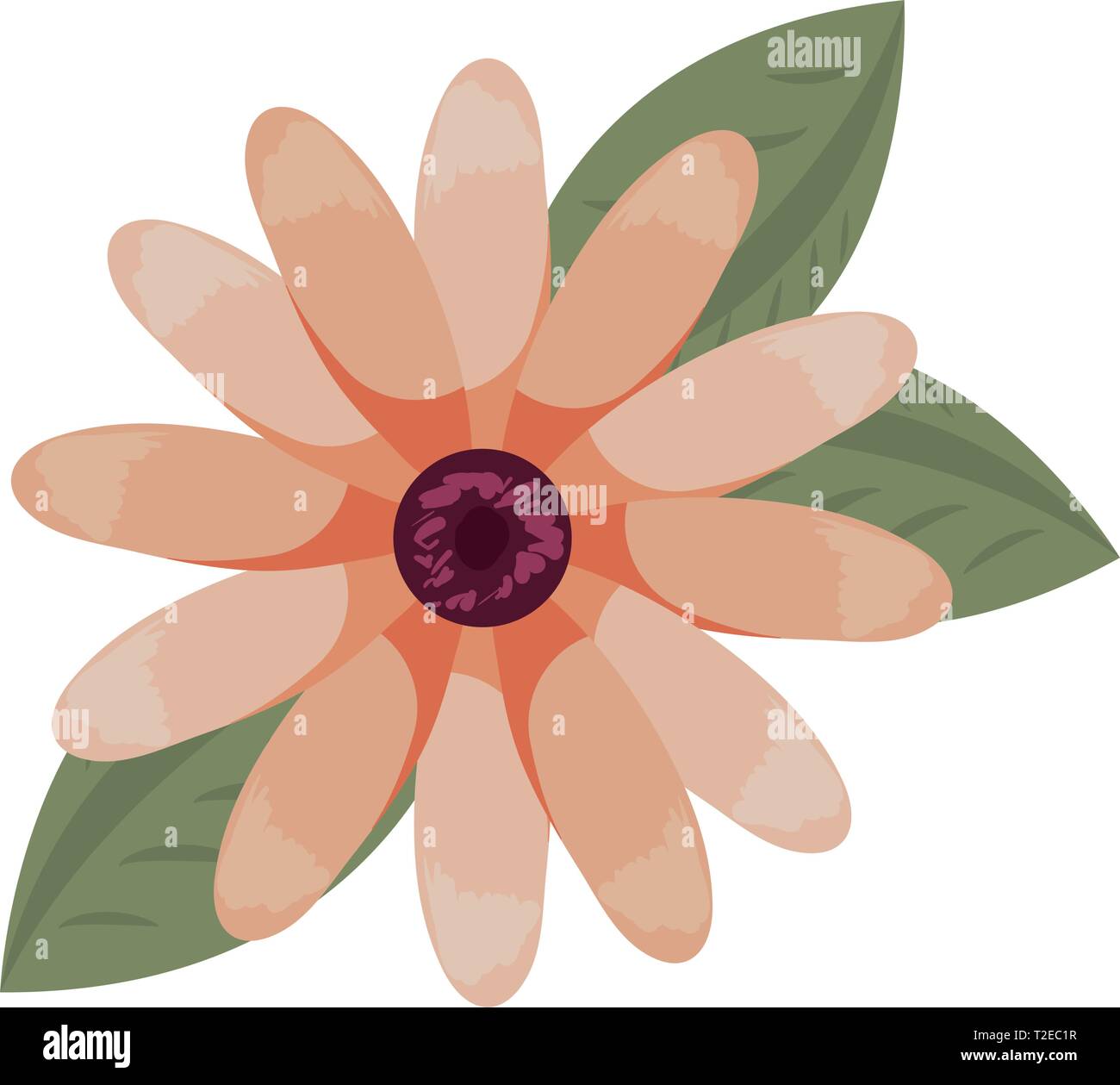 delicate flower decoration floral vector illustration design Stock