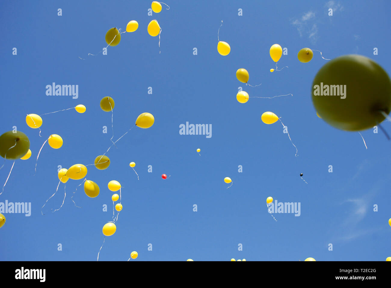 Fly Flying Float Floating Birthday High Resolution Stock Photography