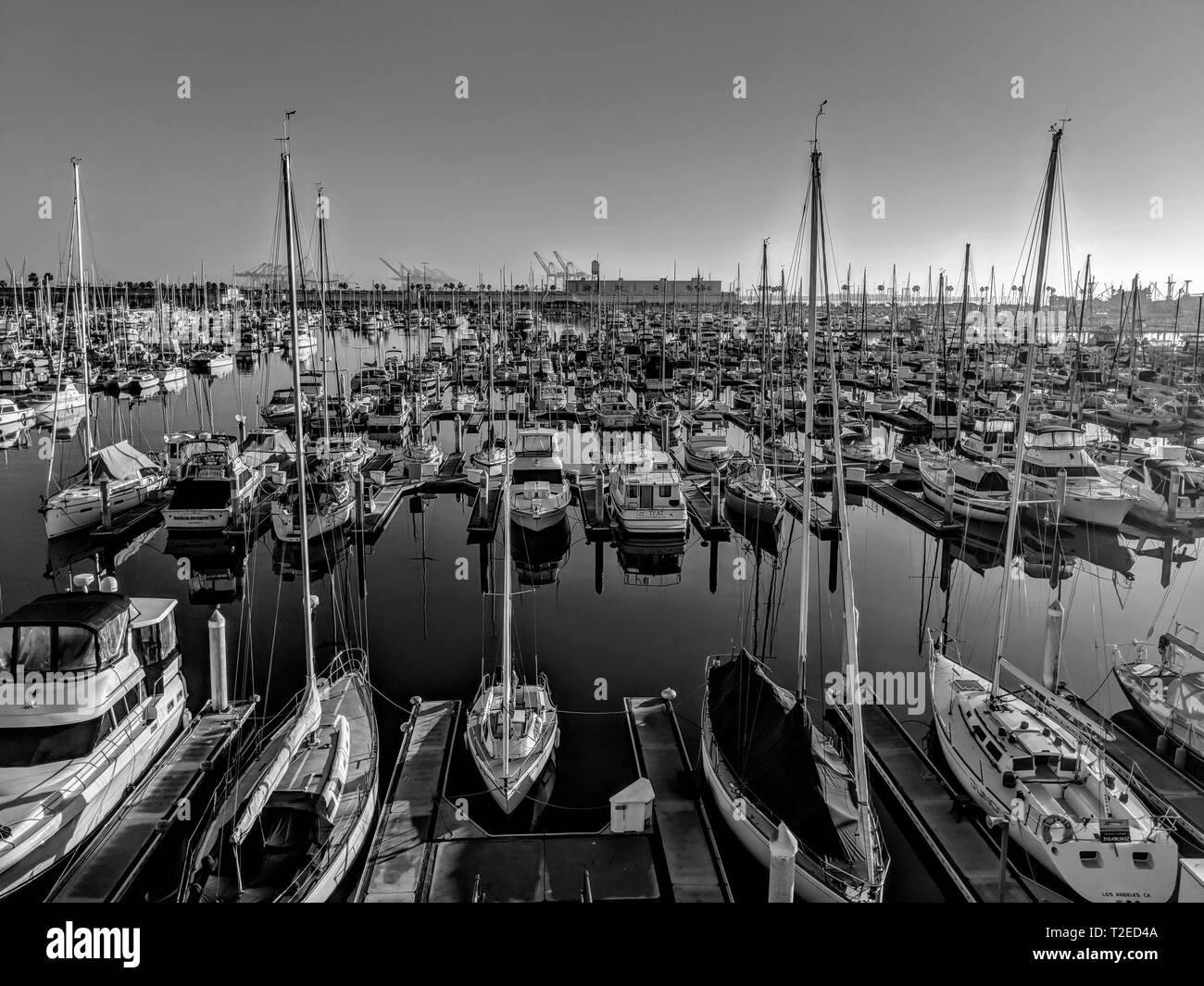 Black and White Marina Stock Photo - Alamy