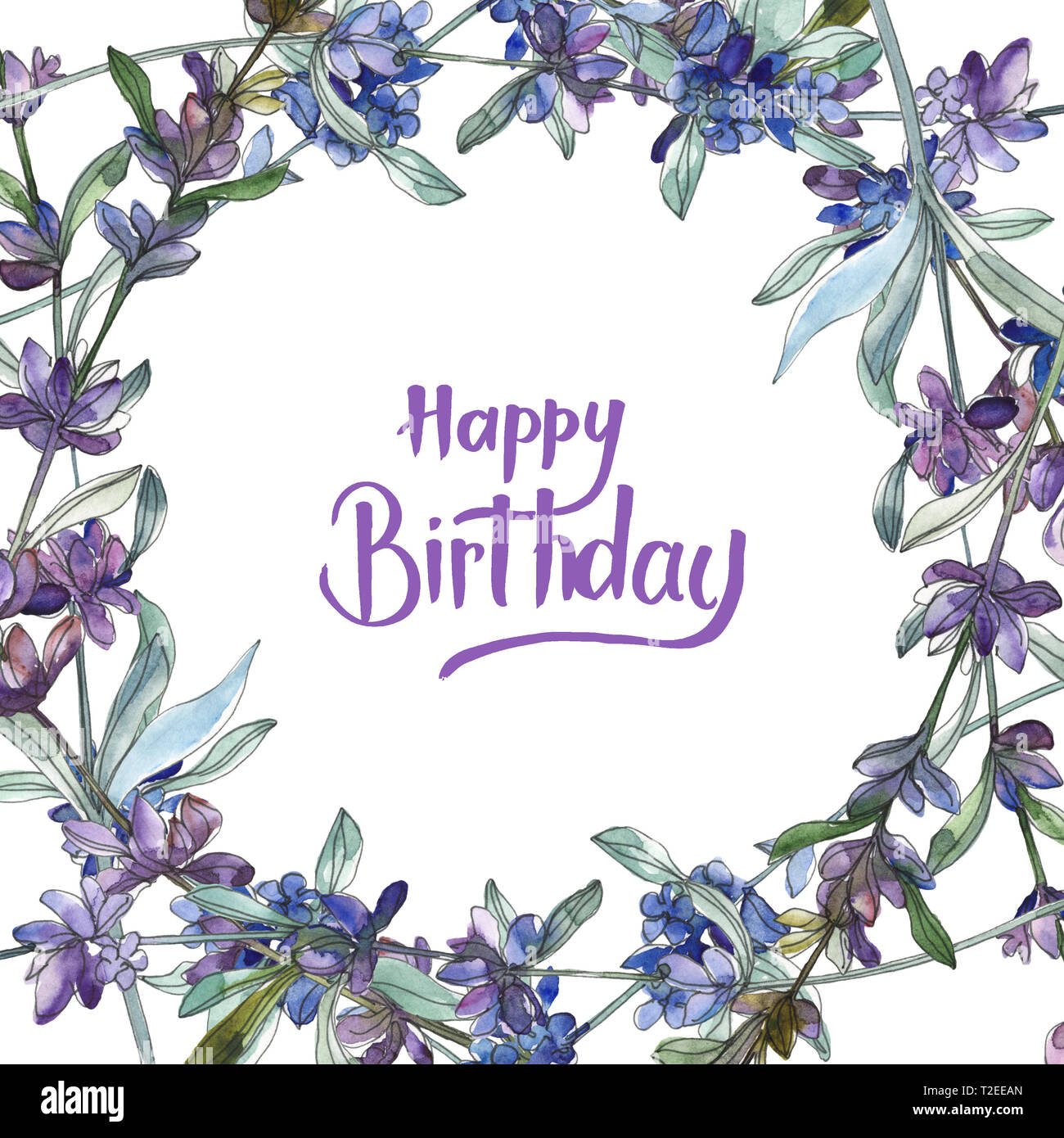 Purple lavender floral botanical flower. Wild spring leaf wildflower