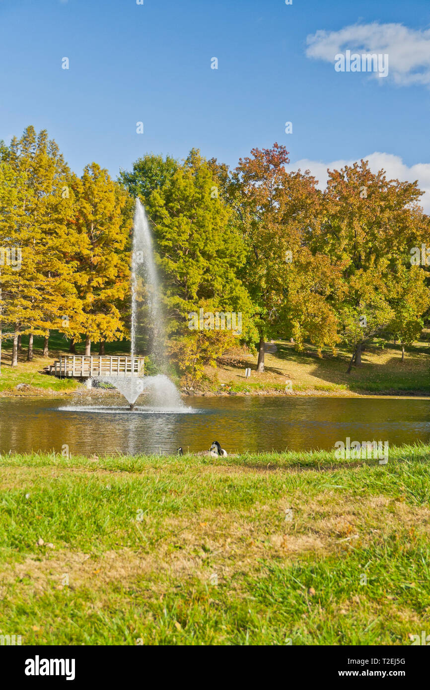 Blue sky with a few clouds, fall colors among green foliage, a fountain, and geese on an autumn afternoon by Bugg Lake on the UMSL campus. Stock Photo