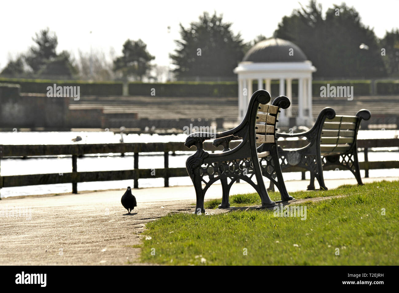Ornate Cast Iron Benches On The Side Of Stanley Park Lake With