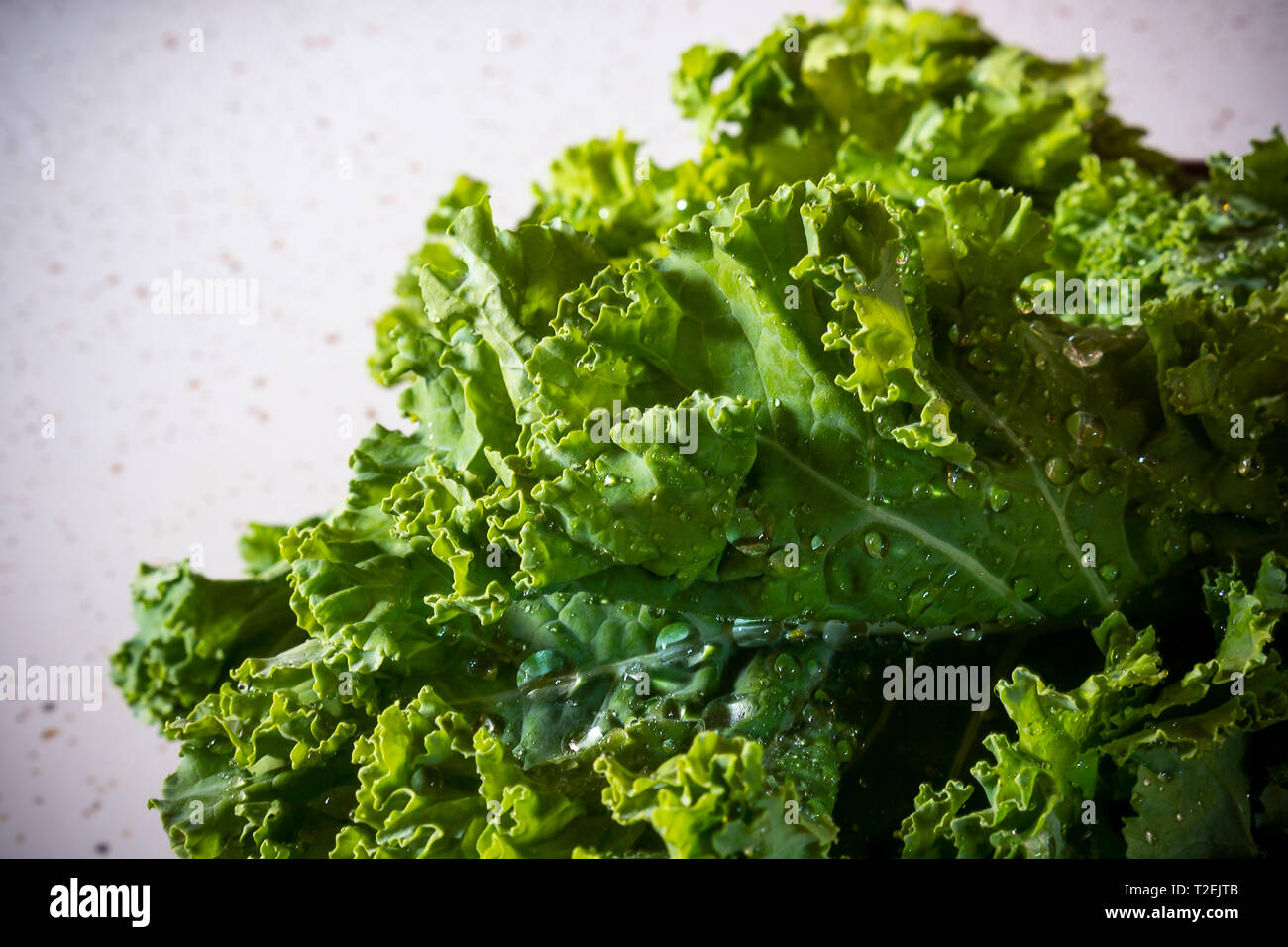 A bunch of kale in a kitchen in New York on Wednesday, March 20, 2019. Kale has been ranked as the third-worst produce in terms of pesticide contamination. Strawberries and spinach are the top two offenders. (© Richard B. Levine) Stock Photo