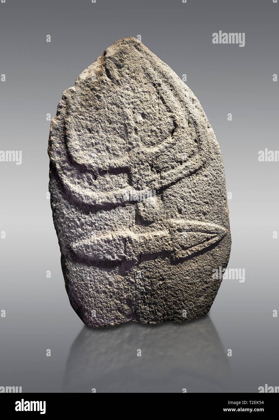 Late European Neolithic prehistoric Menhir standing stone with carvings on its face side. The representation of a stylalised male figure starts at the Stock Photo