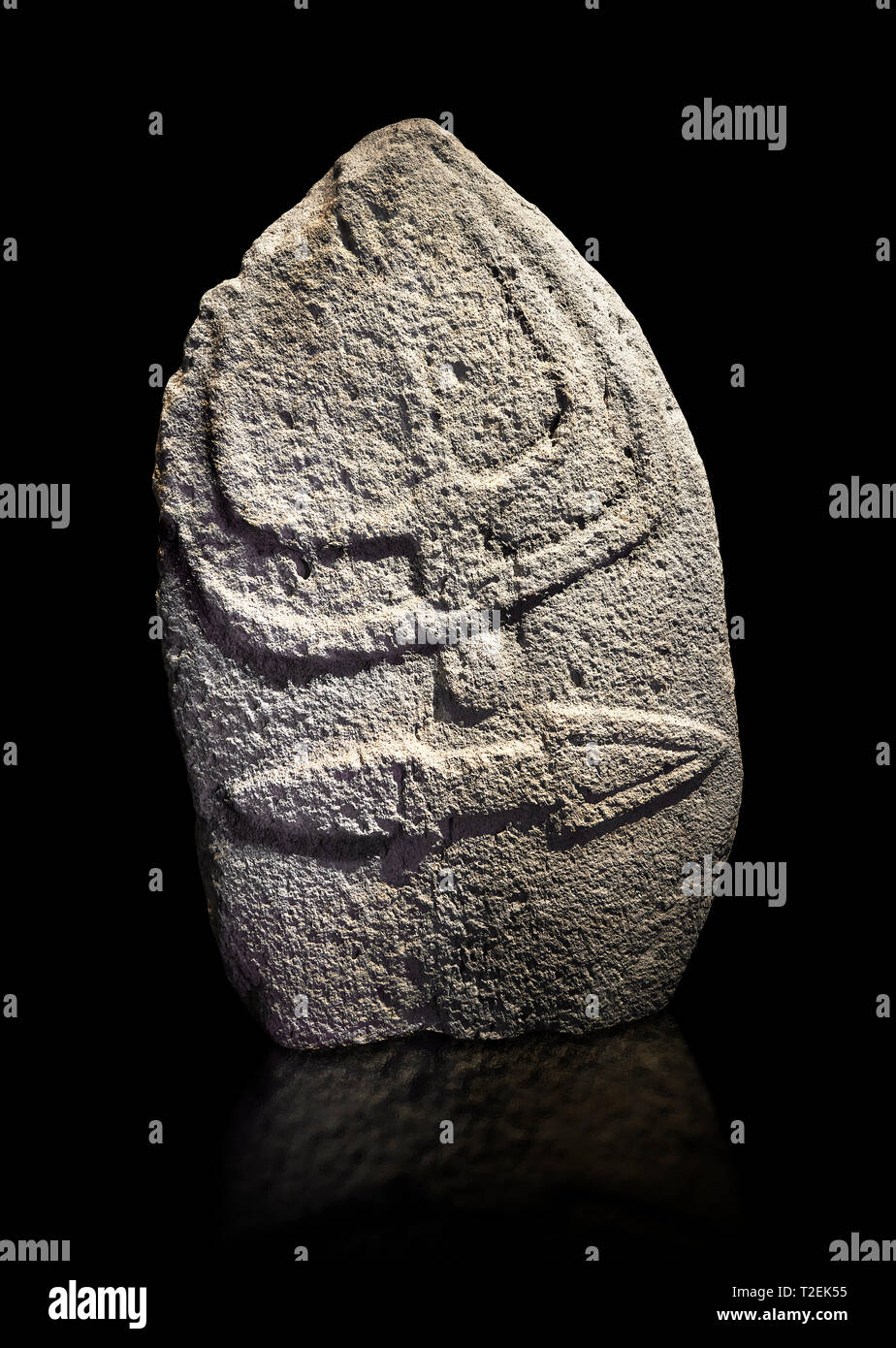 Late European Neolithic prehistoric Menhir standing stone with carvings on its face side. The representation of a stylalised male figure starts at the Stock Photo