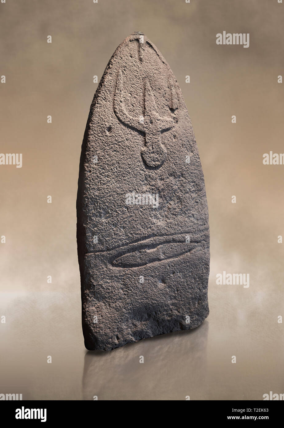 Late European Neolithic prehistoric Menhir standing stone with carvings on its face side. The representation of a stylalised male figure starts at the Stock Photo