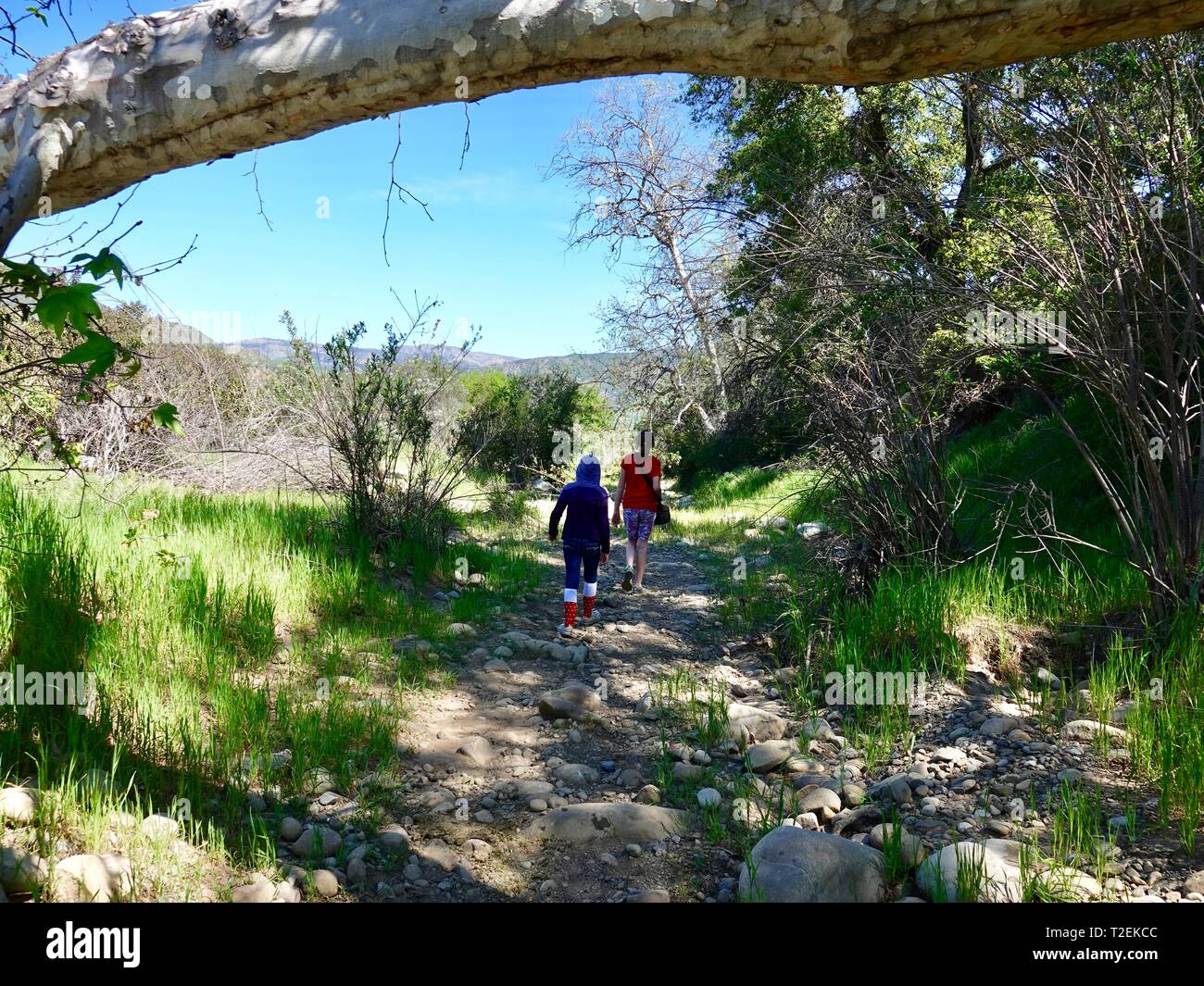 Two young girls, sisters, hiking on rocky, shady canyon path, Ojai