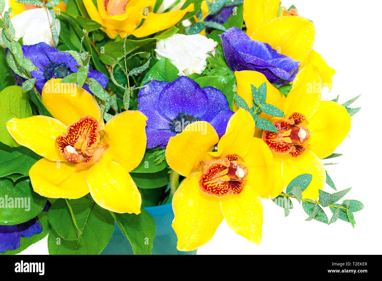 beautiful holiday bouquet of yellow orchids and blue anemones isolated on white background. holiday card with floral background Stock Photo