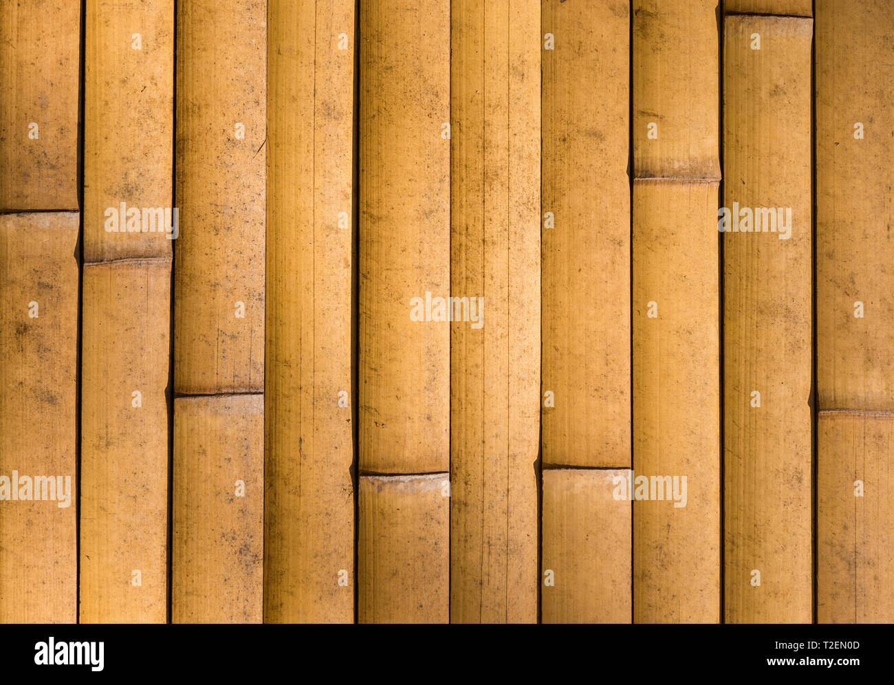 Yellow Bamboo cane wall as background Stock Photo Alamy