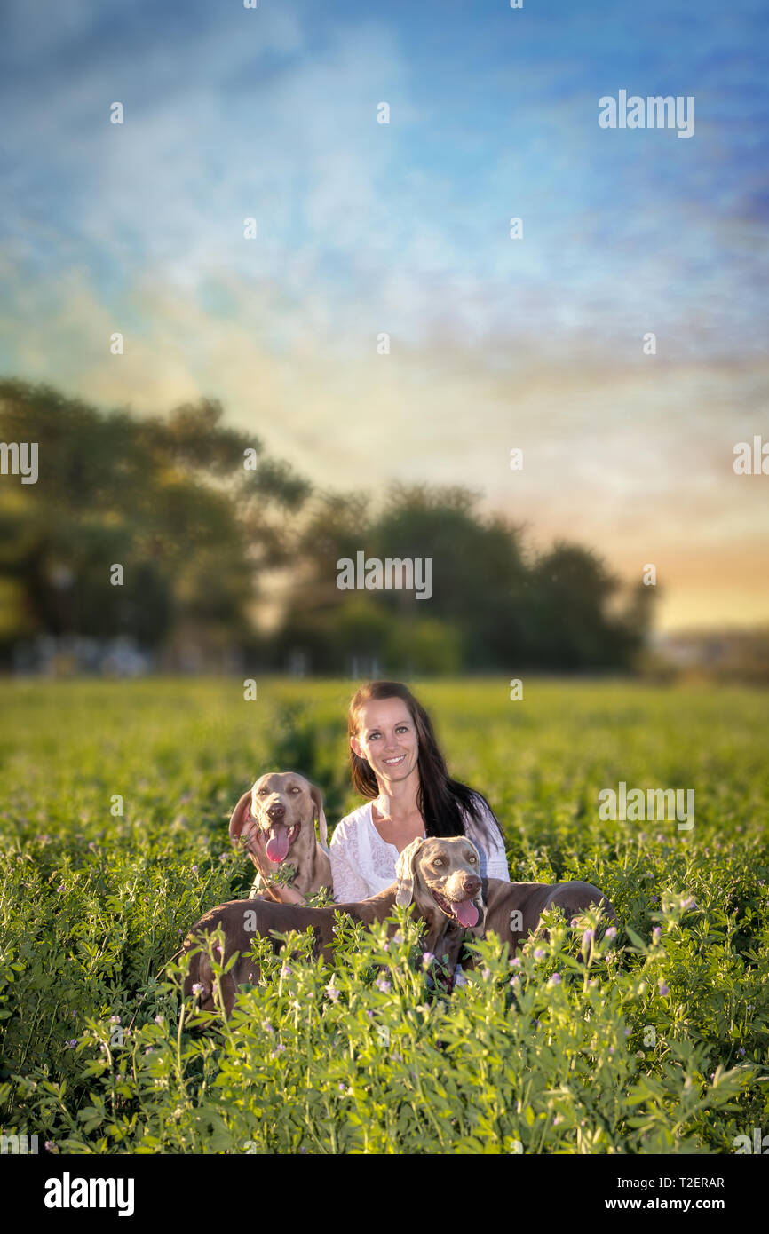 Farm girl with her dogs in a large open green field at sunset Stock