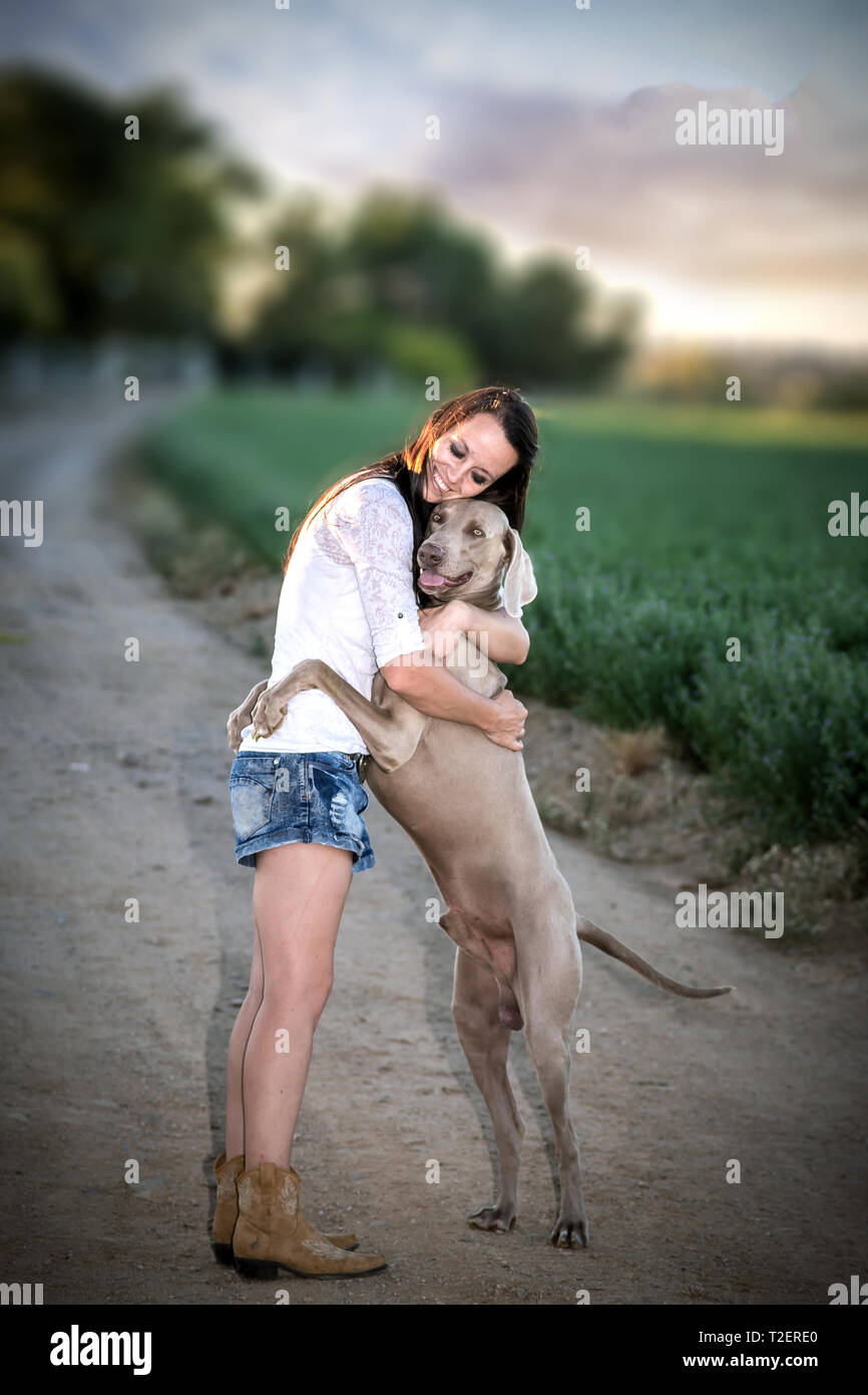 Weimaraner hound giving young woman a hug Stock Photo