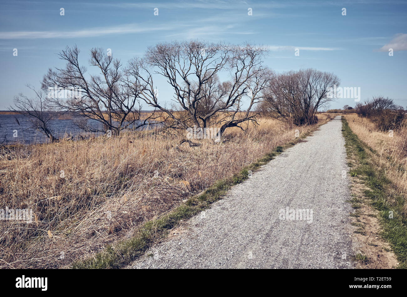 Pedestrian and bike path trail by Dabie Lake, color toning applied, Poland. Stock Photo