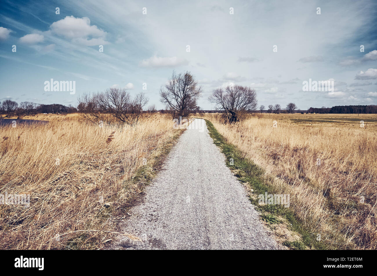 Color toned picture of a countryside road. Stock Photo