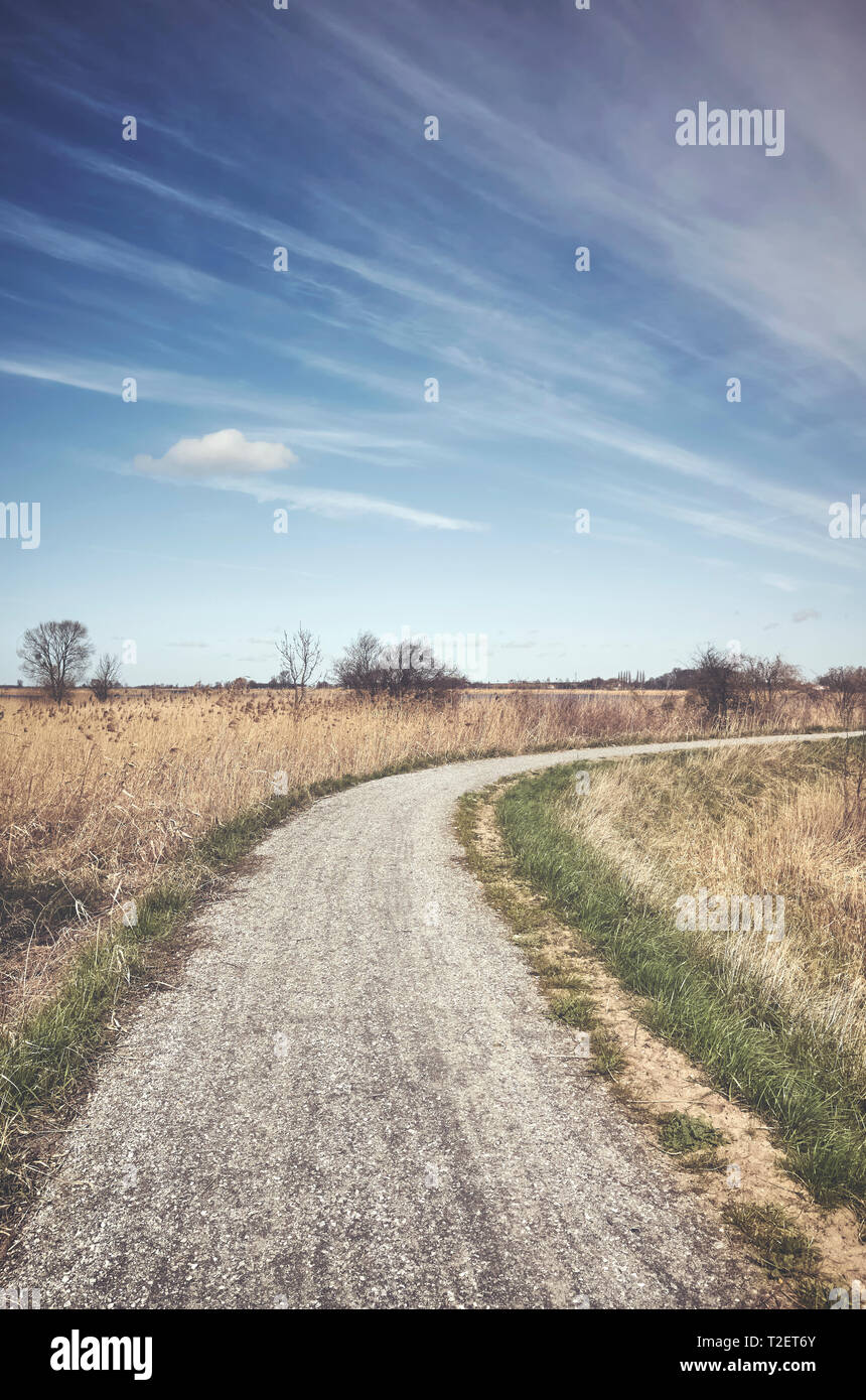Color toned picture of a countryside road. Stock Photo