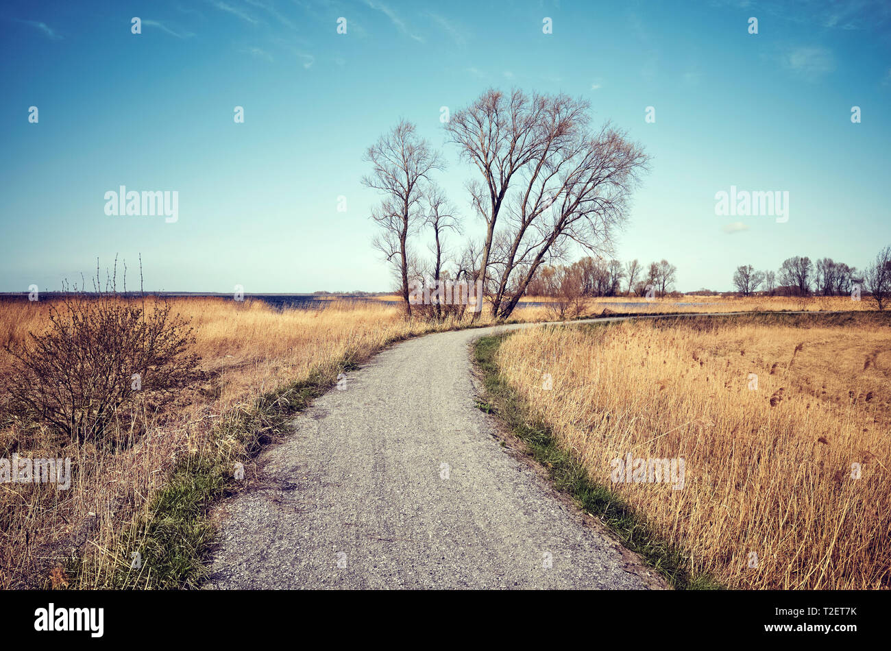 Color toned picture of a countryside road by a lake. Stock Photo