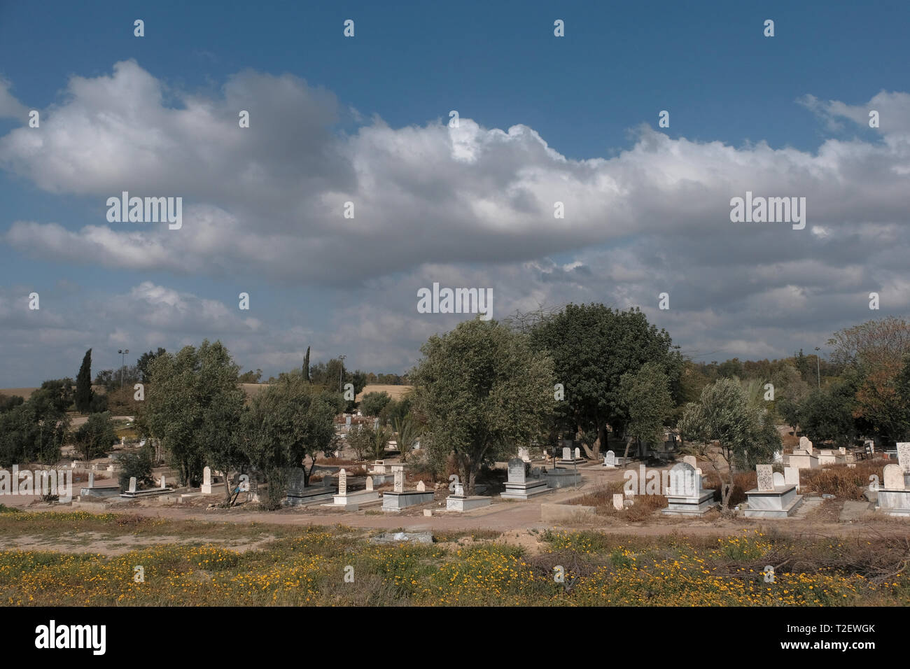 Graves at a Muslim cemetery in the outskirts of Rahat a predominantly Bedouin city in the Negev desert Southern District of Israel. Rahat is the largest Bedouin city in the world, and the only one in Israel to have city status. Stock Photo