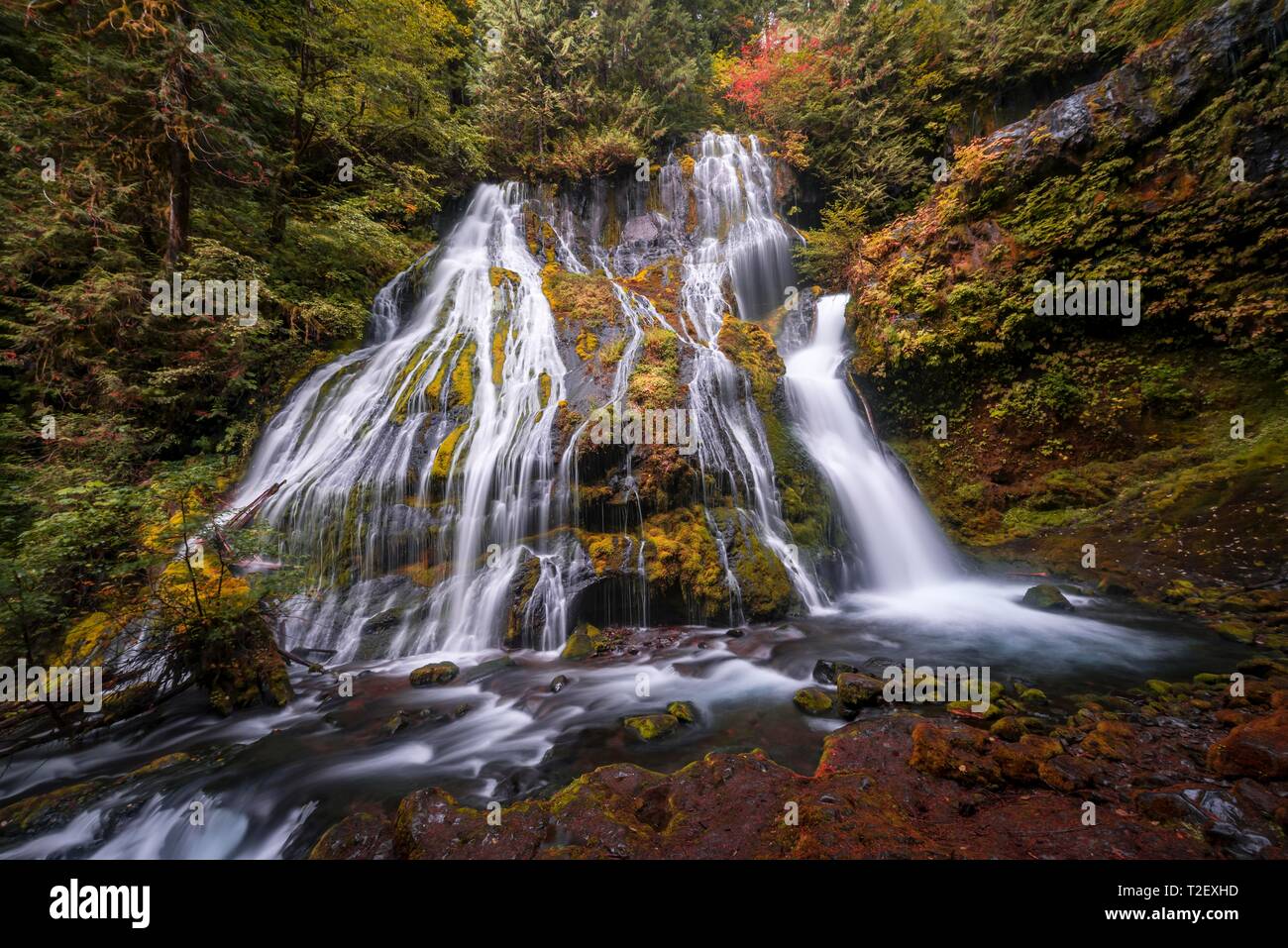 Waterfall, Panther Creek Falls, in autumn, time exposure, Washington, USA Stock Photo