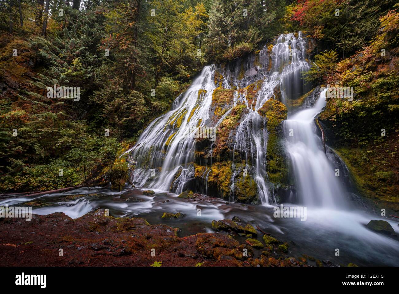 Waterfall, Panther Creek Falls, in autumn, time exposure, Washington, USA Stock Photo