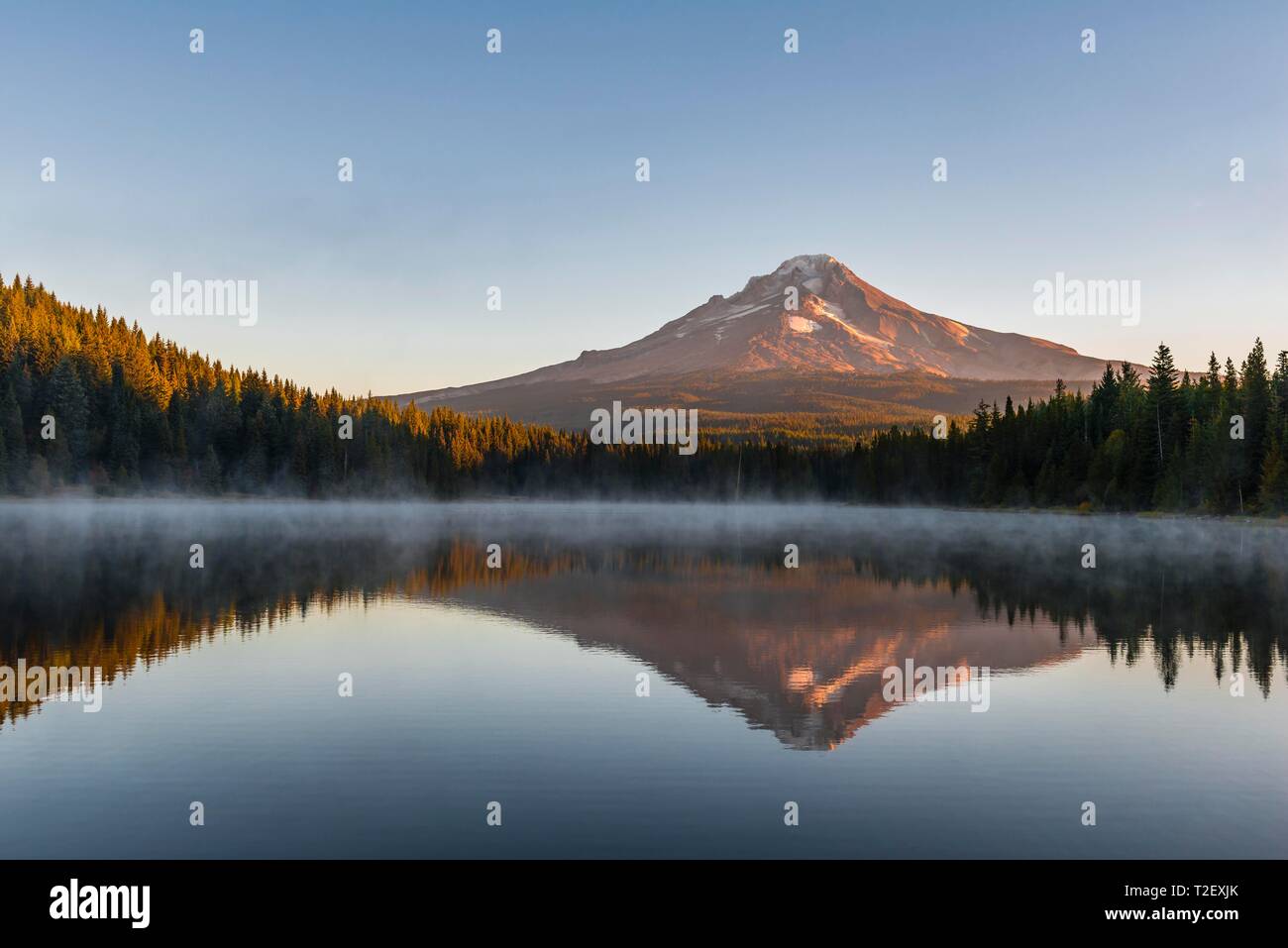 Sunrise Reflection Of The Volcano Mt Hood In Lake Trillium Lake 
